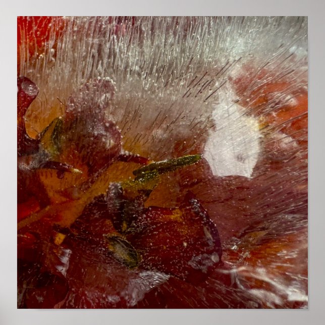 Póster Iced Lilies, (Frente)