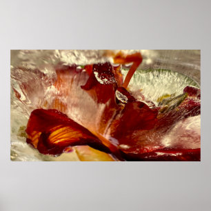 Póster Iced Lilies,