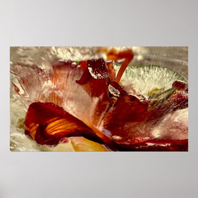 Póster Iced Lilies, (Frente)