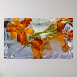 Póster Iced Lilies,