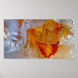 Póster Iced Lilies,