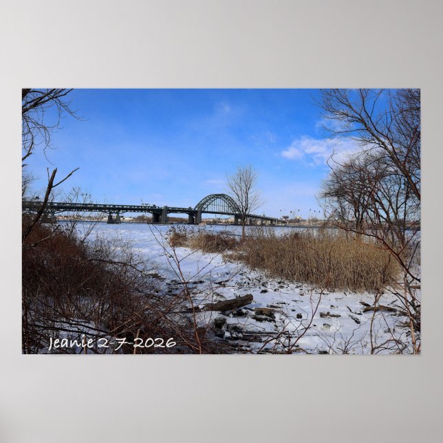 Póster Icey Delaware (Frente)