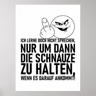 PÓSTER ICH LERNE DOCH NICHT SPRECHEN
