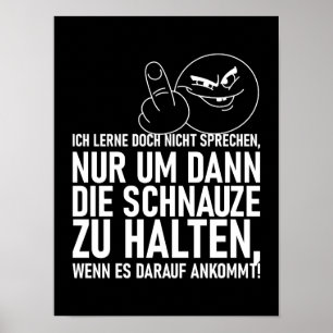 PÓSTER ICH LERNE DOCH NICHT SPRECHEN