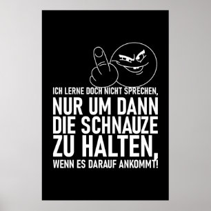 PÓSTER ICH LERNE DOCH NICHT SPRECHEN