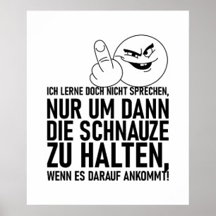 PÓSTER ICH LERNE DOCH NICHT SPRECHEN
