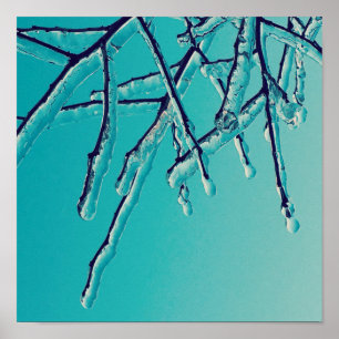 Póster icicle branches