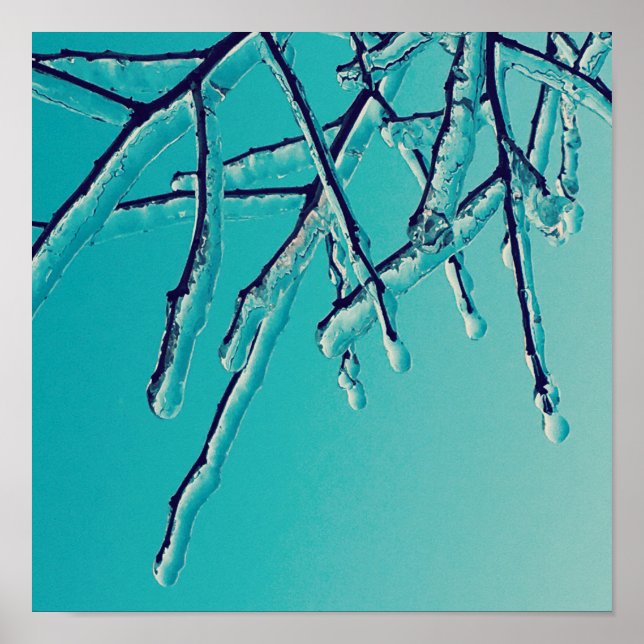 Póster icicle branches (Frente)