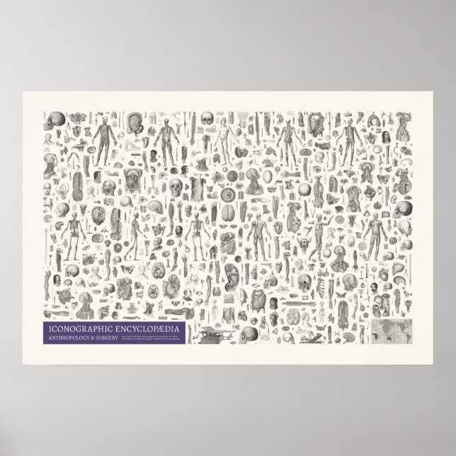 Póster Iconografía - Antropología & Cirugía (Frente)
