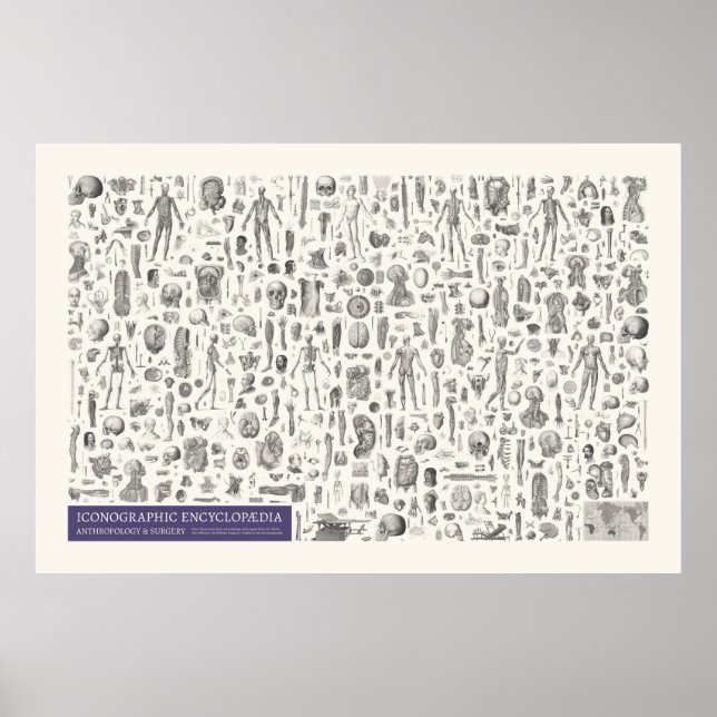 Póster Iconografía - Antropología y Cirugía (Frente)