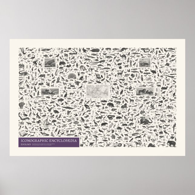 Póster Iconografía: figuras de la zoología (Frente)