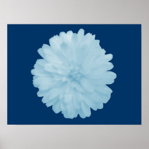 Póster Icy Blue Marigold Poster