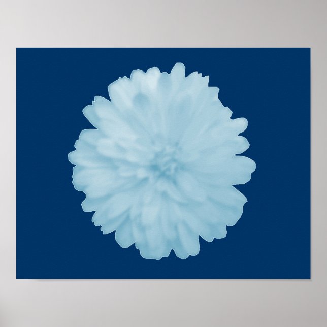 Póster Icy Blue Marigold Poster (Frente)