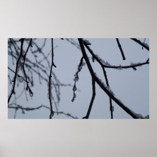 Póster Icy Branches Winter Nature Photography