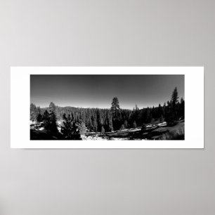 Póster Icy Forest Panoramic Black and White Photography