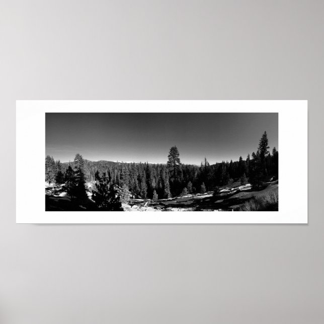 Póster Icy Forest Panoramic Black and White Photography (Frente)