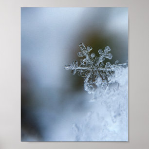 Póster Icy Snowflake