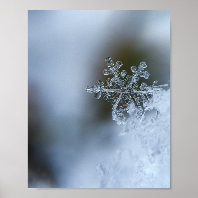 Póster Icy Snowflake (Frente)