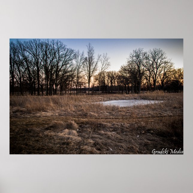 Póster Icy Spring (Frente)