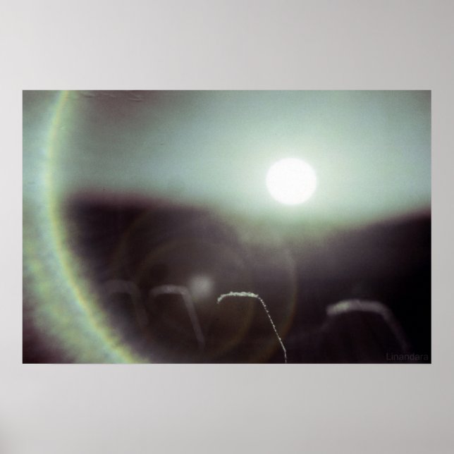 Póster Icy Sun de Alexandra Cook (Frente)