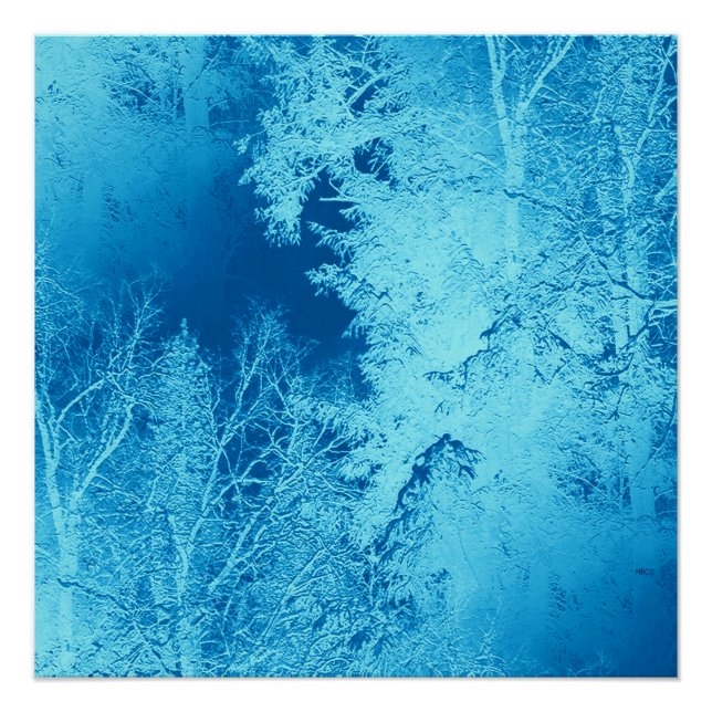 Póster Icy Winter... (Anverso)