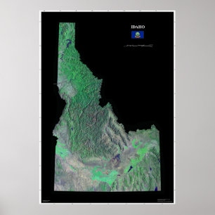 Póster Idaho