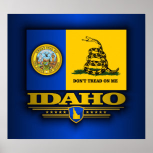 Póster Idaho (DTOM)