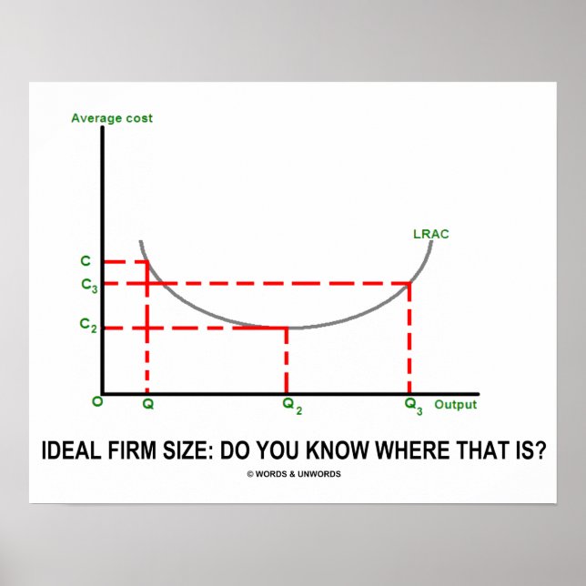 Póster Ideal Firm Size: Do You Know Where That Is? (Frente)