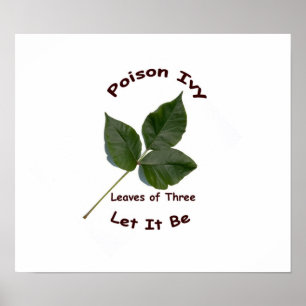 Póster Identifique el poster de la hiedra venenosa