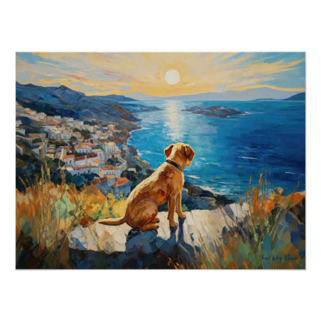 Póster Idílica ciudad mediterránea, perro recuperador de  (Anverso)