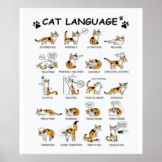 Póster Idioma del gato, gatito gracioso, idea de regalo d (Frente)