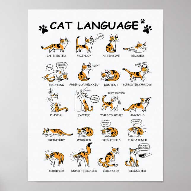 Póster Idioma del gato, gatito gracioso, idea de regalo d (Frente)