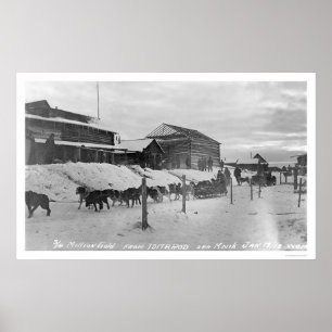 Póster Iditarod Alaska Birdseye 1914