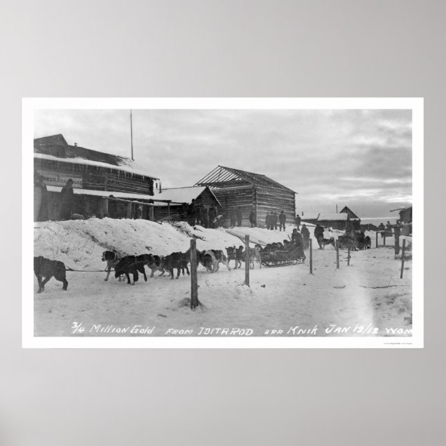Póster Iditarod Alaska Birdseye 1914 (Frente)