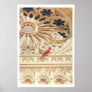 Póster Iglesia y acuarela de pájaro "Cardinal"