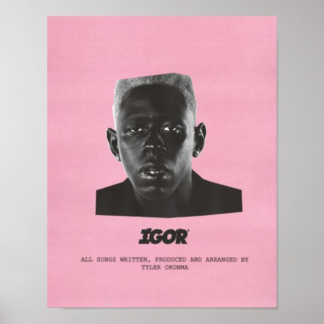PÓSTER IGOR PINK (Frente)