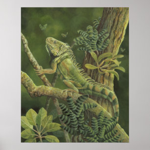 Póster Iguana