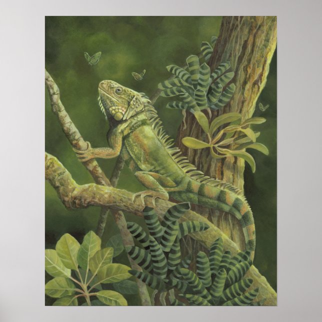 Póster Iguana (Frente)