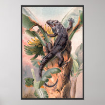 Iguana Negra Tropical, Animal Reptil Salvaje Vinta