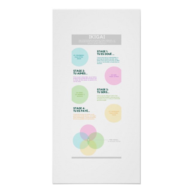 Póster Ikigai (Anverso)