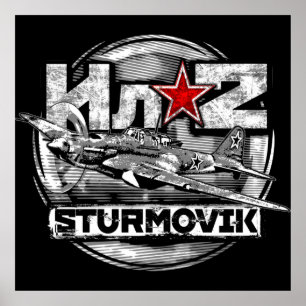 Póster Il-2 Shturmovik