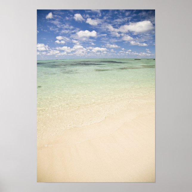 Póster Ile Aux Cerf, la excursión más popular para (Frente)