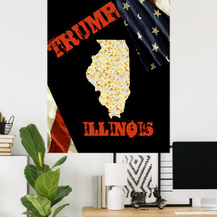 PÓSTER ILLINOIS
