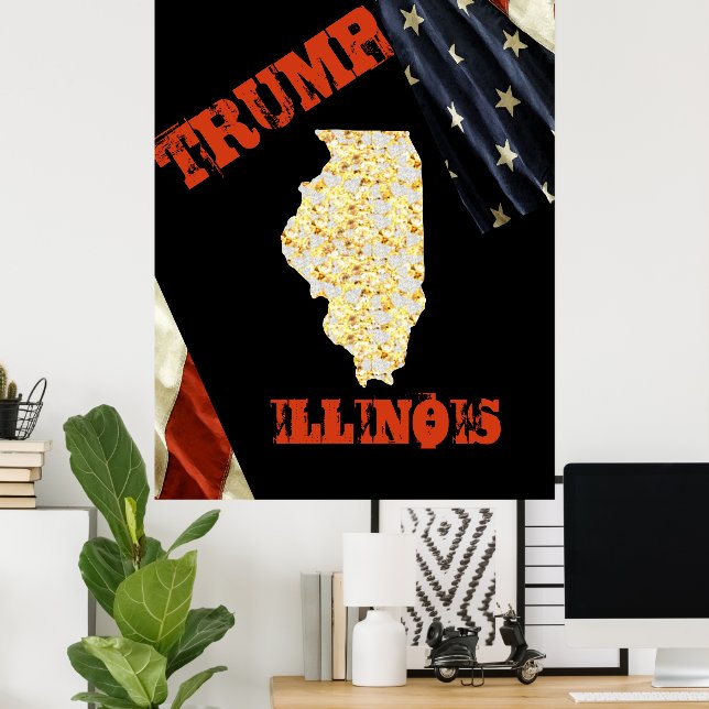 PÓSTER ILLINOIS  (Oficina en casa)