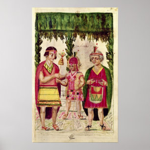 Póster Illustration of Cincheroca