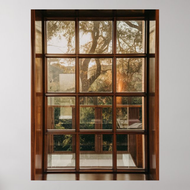 Póster Ilusión de la vista del árbol de atardecer a travé (Frente)