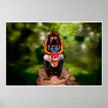 Ilusión de Mandrill Bodypainting