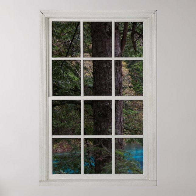 Póster Ilusión falsa de ventana - árbol grande con agua (Frente)