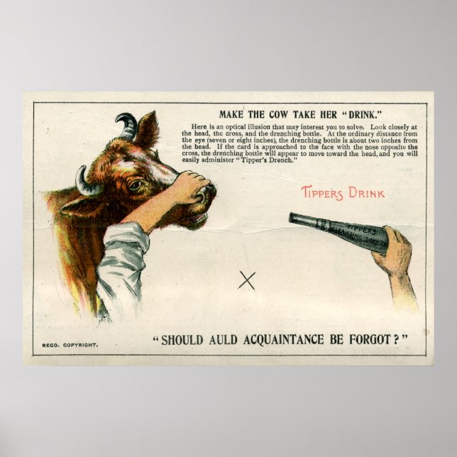 Póster Ilusión óptica, 1896 (Frente)