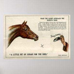 Póster Ilusión óptica 1896